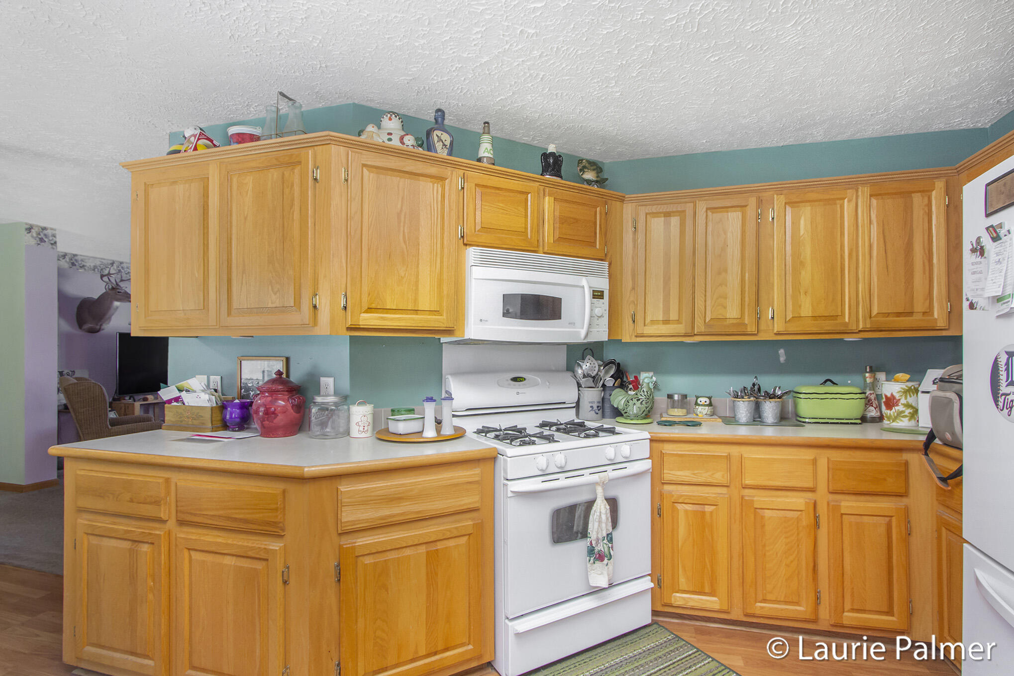 4024 East Clarksville Road Portland, MI 48875 - Photo 12 of 28 IMG_3263