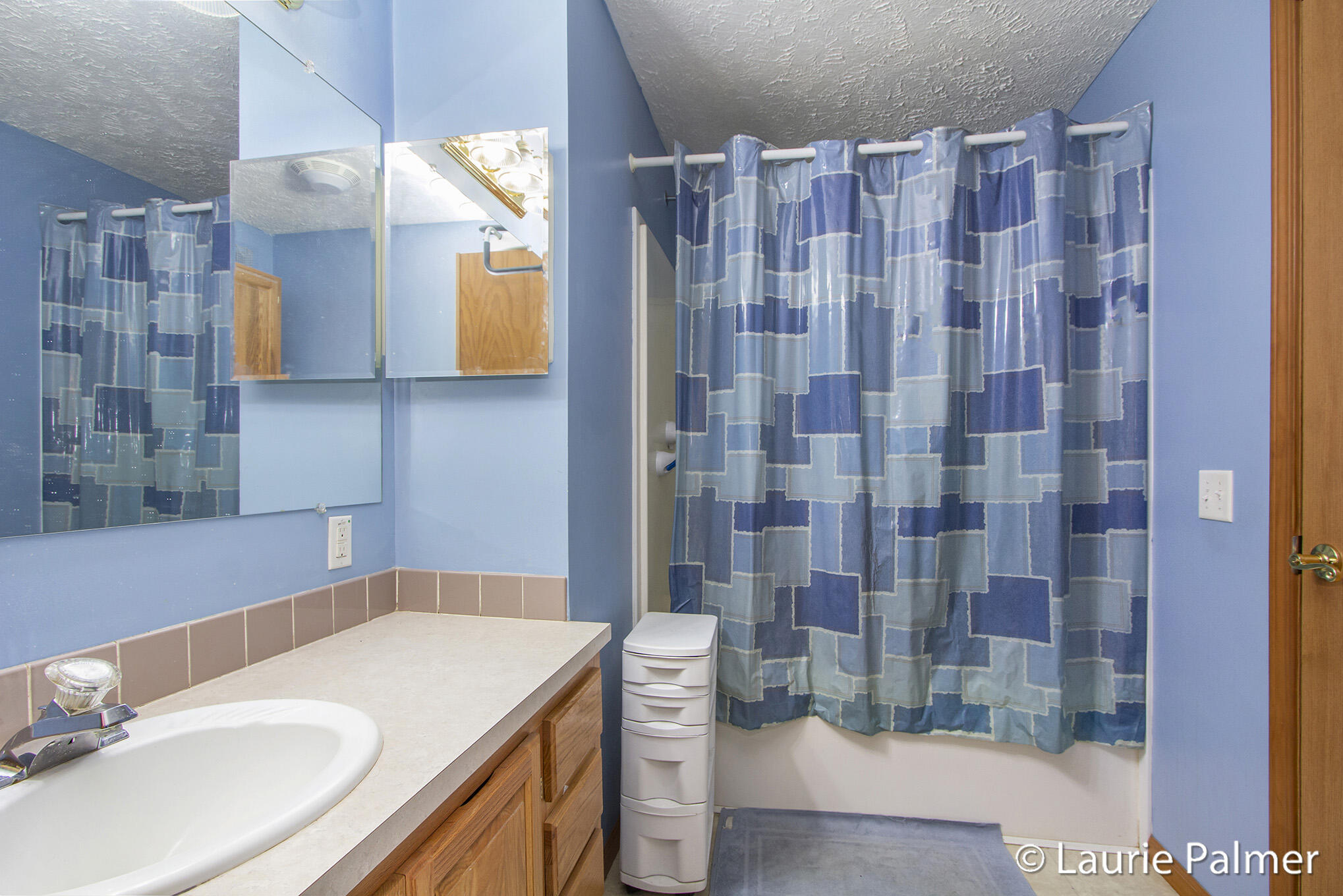 4024 East Clarksville Road Portland, MI 48875 - Photo 16 of 28 IMG_3282