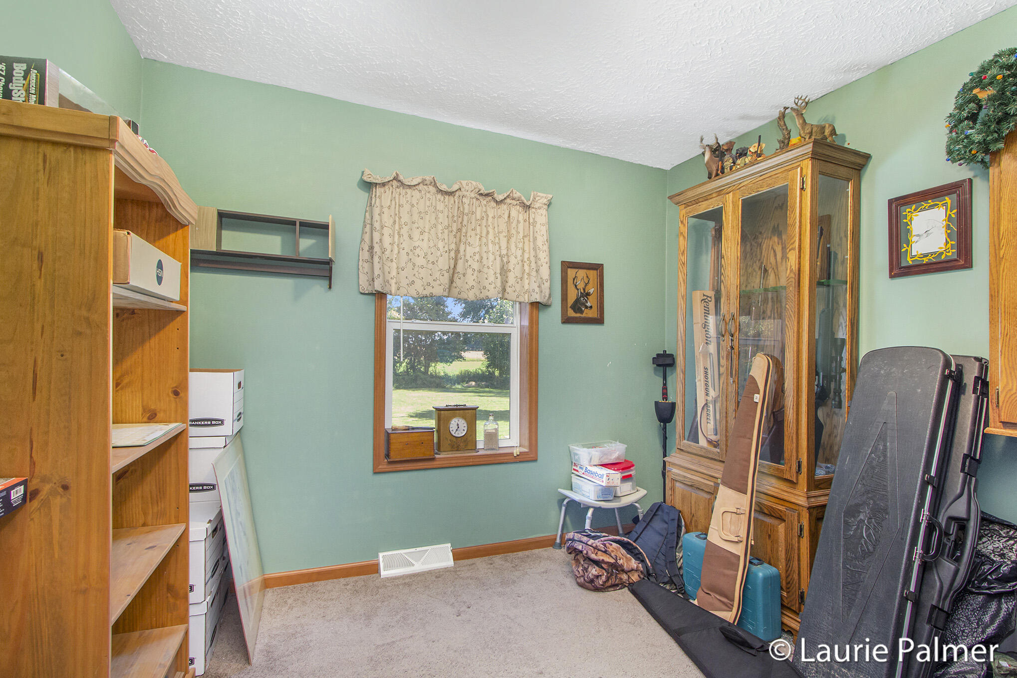 4024 East Clarksville Road Portland, MI 48875 - Photo 17 of 28 IMG_3284
