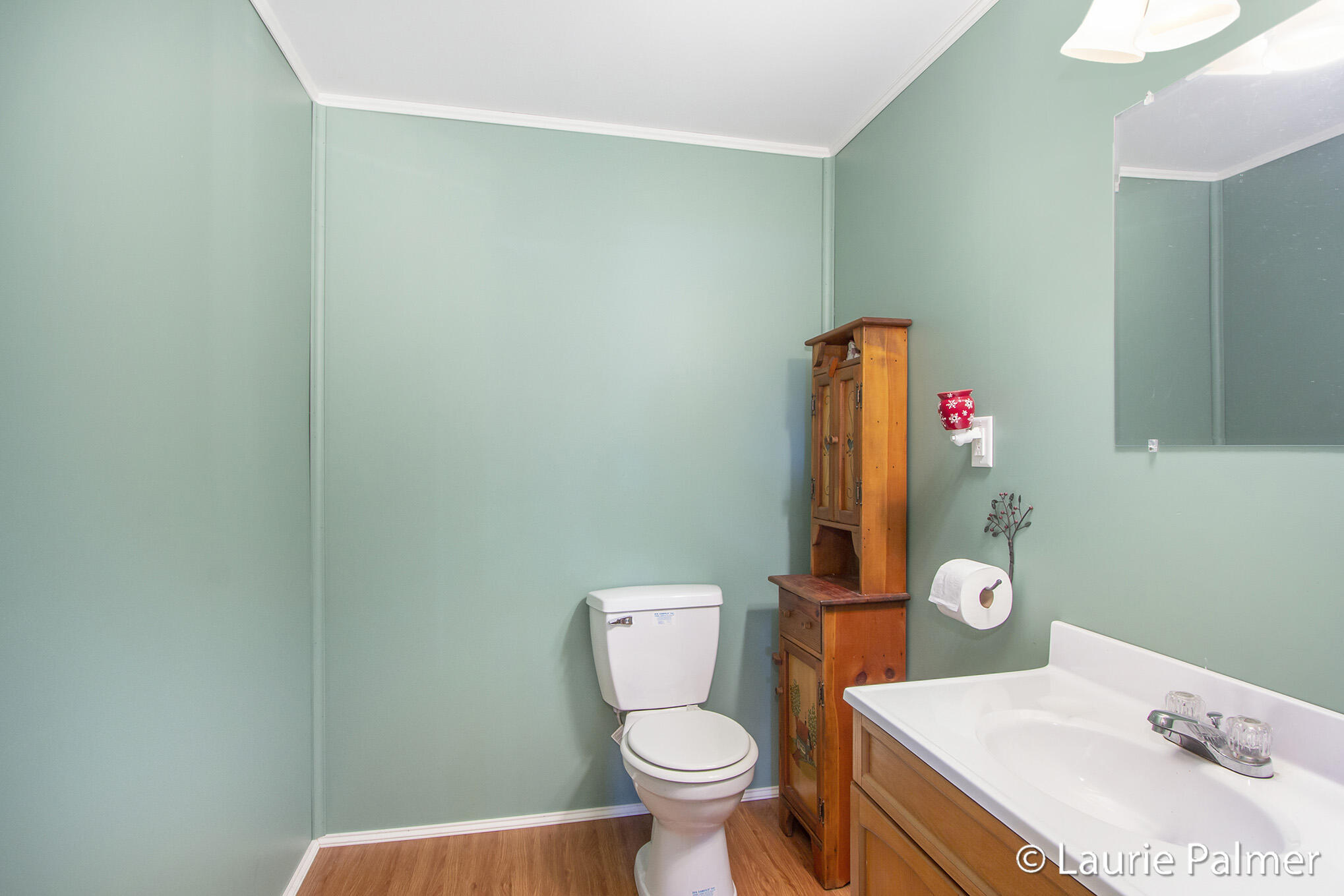 4024 East Clarksville Road Portland, MI 48875 - Photo 23 of 28 IMG_3361