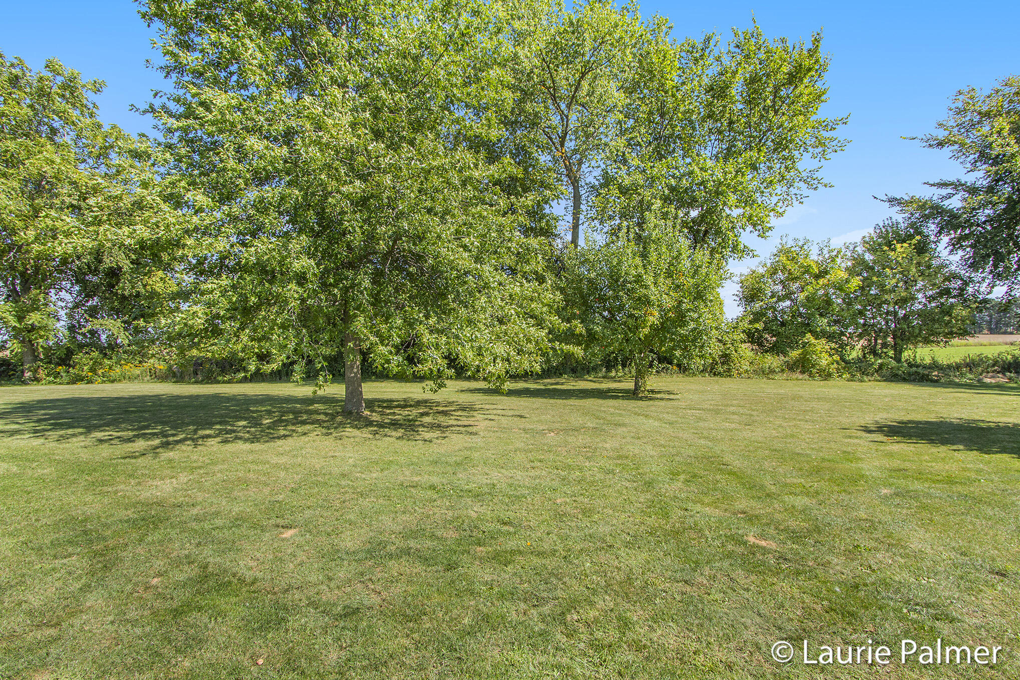 4024 East Clarksville Road Portland, MI 48875 - Photo 26 of 28 IMG_3341