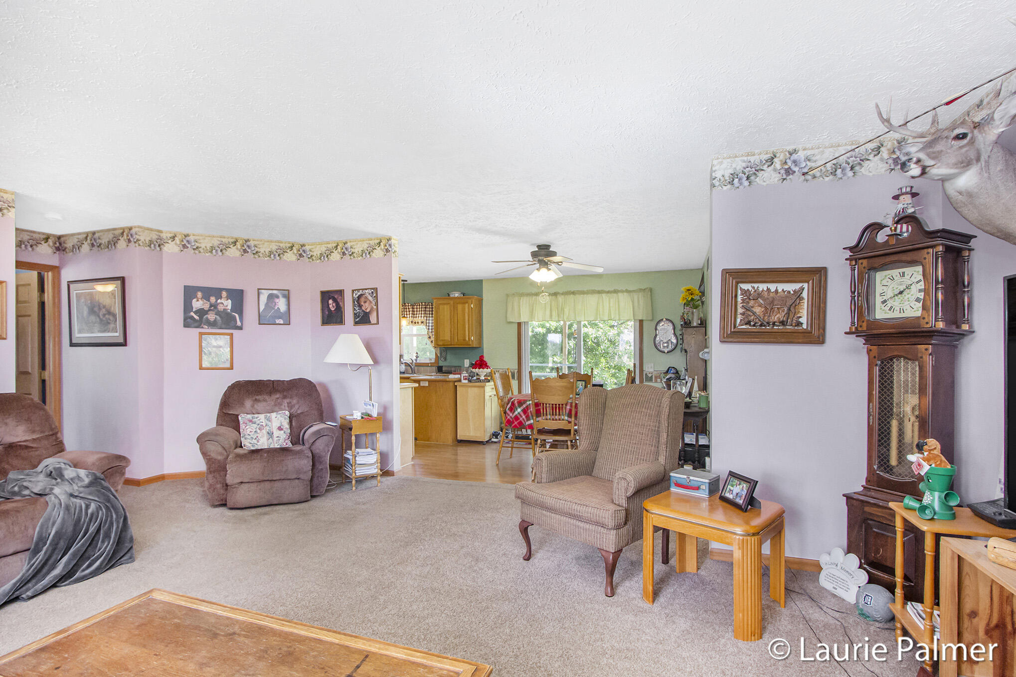 4024 East Clarksville Road Portland, MI 48875 - Photo 8 of 28 IMG_3247