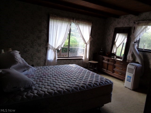 1810 Burnett Road Cutler, OH 45724 - Photo 8 of 12 Gallery Image 8