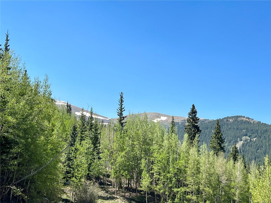 529 Roberts Road Alma, CO 80420 - Photo 1 of 16 Gallery Image 1