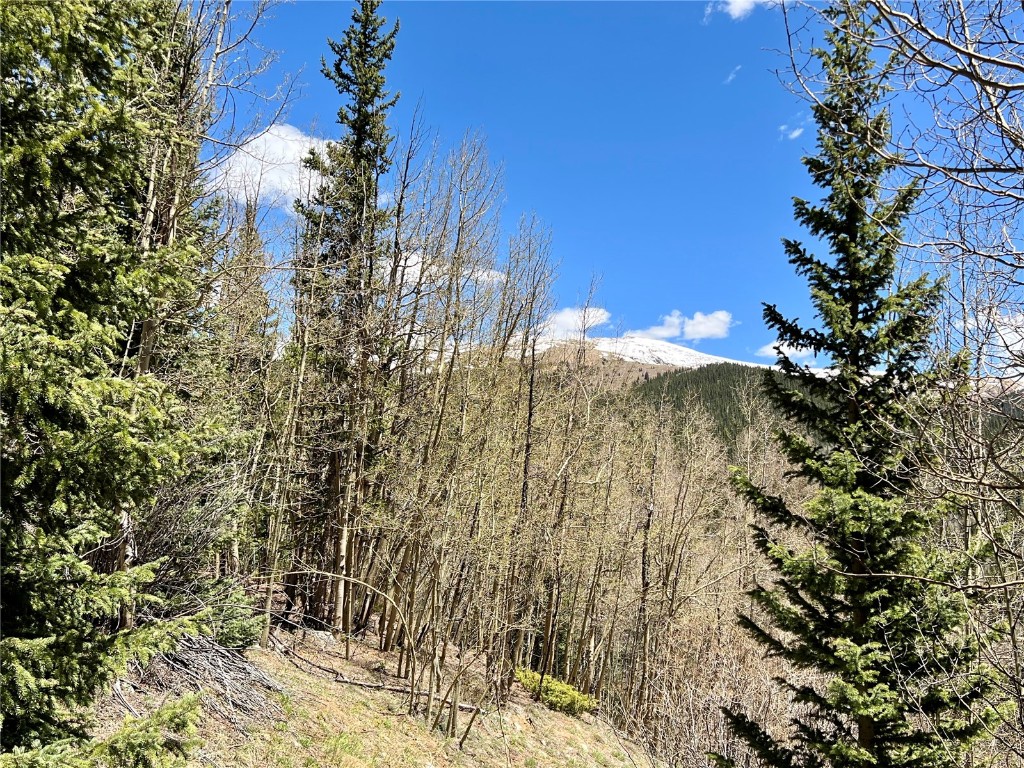 529 Roberts Road Alma, CO 80420 - Photo 11 of 16 Gallery Image 11