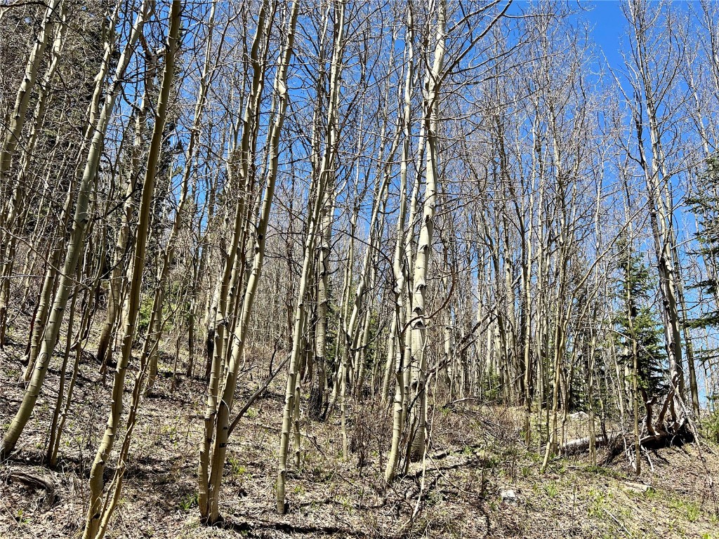 529 Roberts Road Alma, CO 80420 - Photo 12 of 16 Gallery Image 12