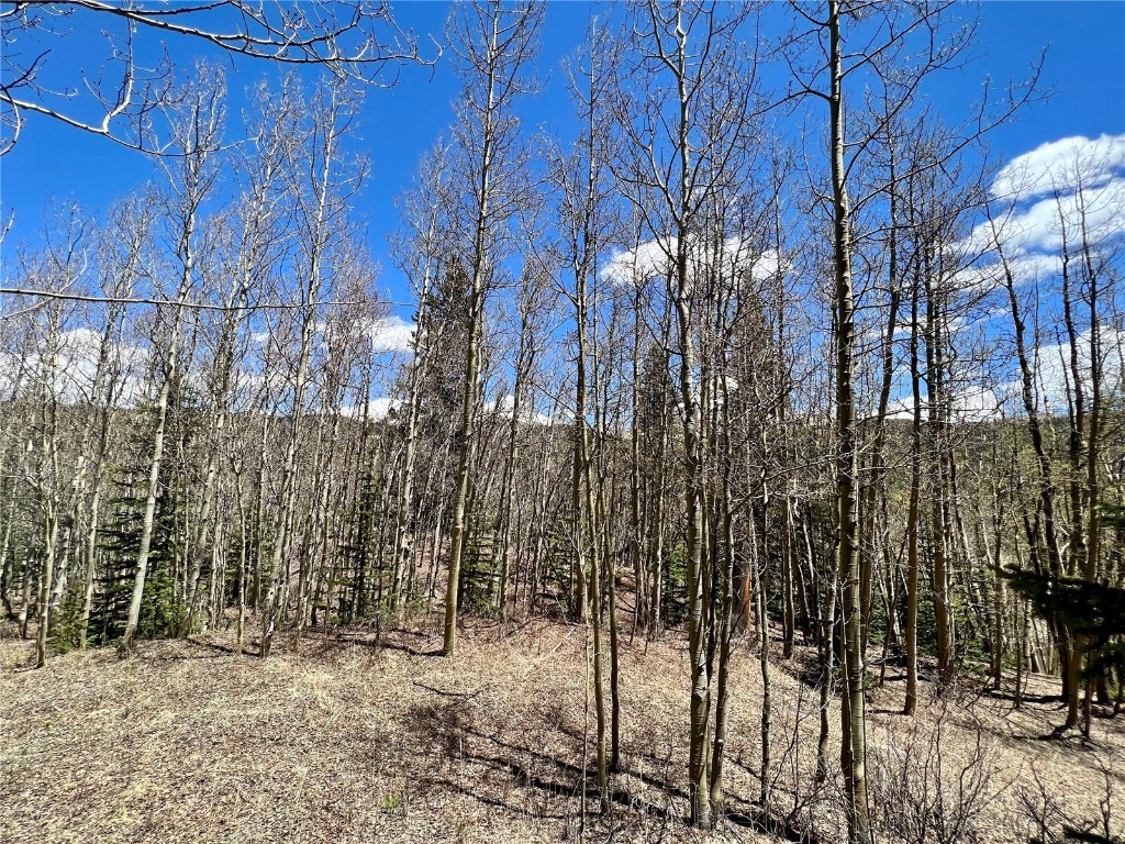 529 Roberts Road Alma, CO 80420 - Photo 14 of 16 Gallery Image 14