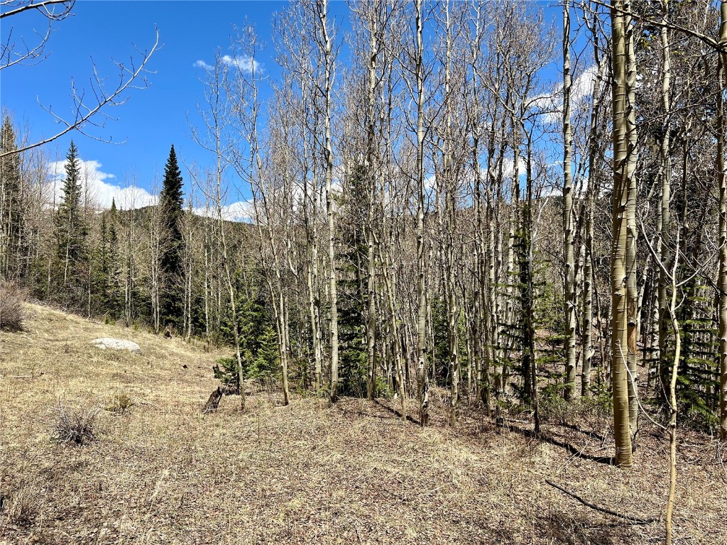 529 Roberts Road Alma, CO 80420 - Photo 15 of 16 Gallery Image 15