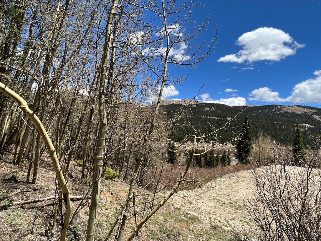 529 Roberts Road Alma, CO 80420 - Photo 16 of 16 Gallery Image 16