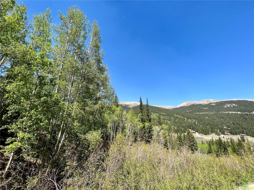 529 Roberts Road Alma, CO 80420 - Photo 2 of 16 Gallery Image 2