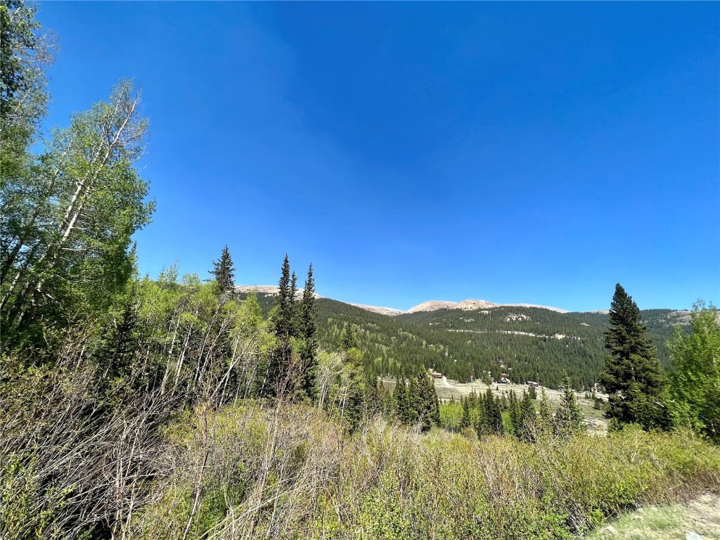 529 Roberts Road Alma, CO 80420 - Photo 3 of 16 Gallery Image 3