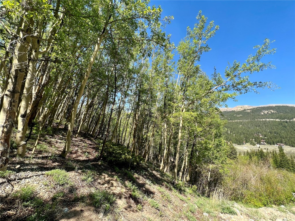 529 Roberts Road Alma, CO 80420 - Photo 6 of 16 Gallery Image 6