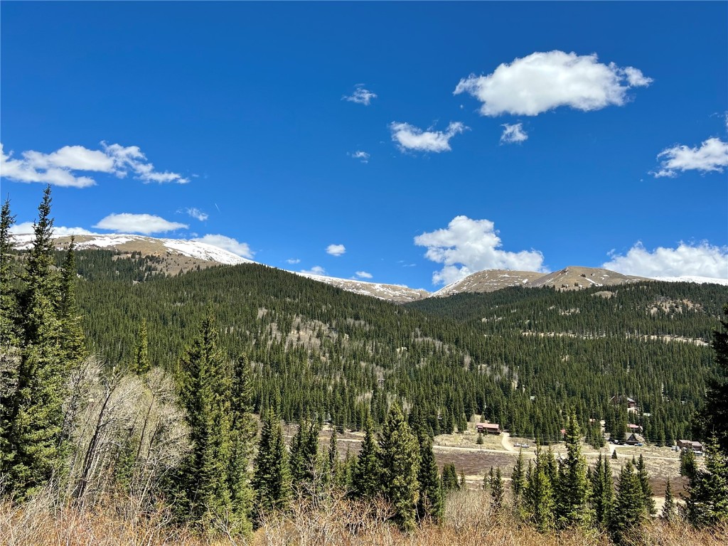 529 Roberts Road Alma, CO 80420 - Photo 8 of 16 Gallery Image 8