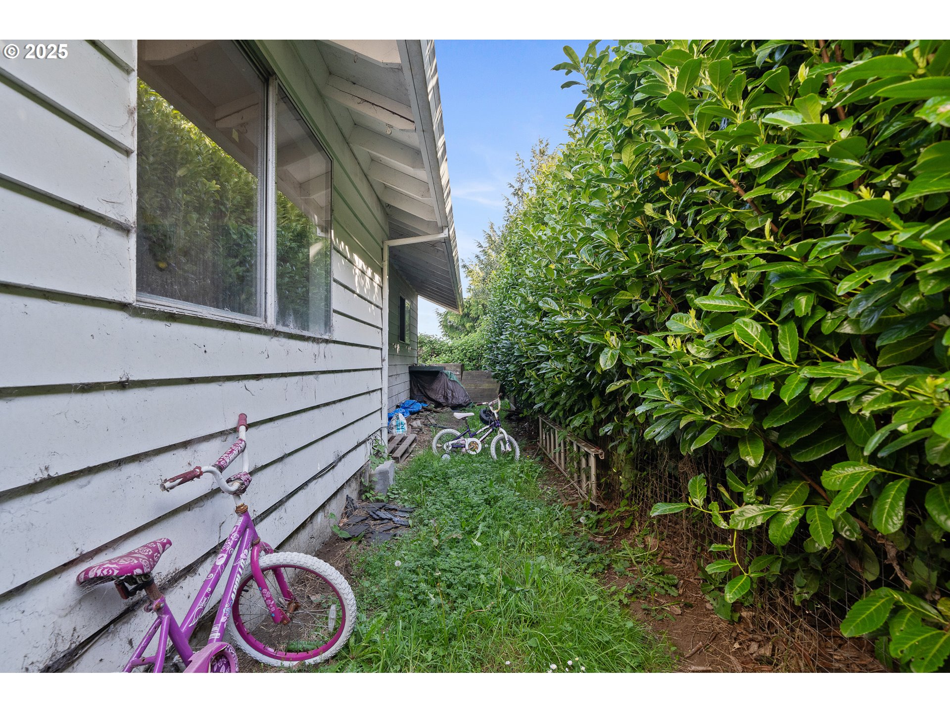 1806 8th Street Tillamook, OR 97141 - Photo 31 of 31 a view of a backyard with plants