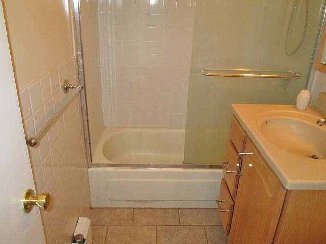 2218 South Goebbert Road, Unit 491 Arlington Heights, IL 60005 - Photo 13 of 16