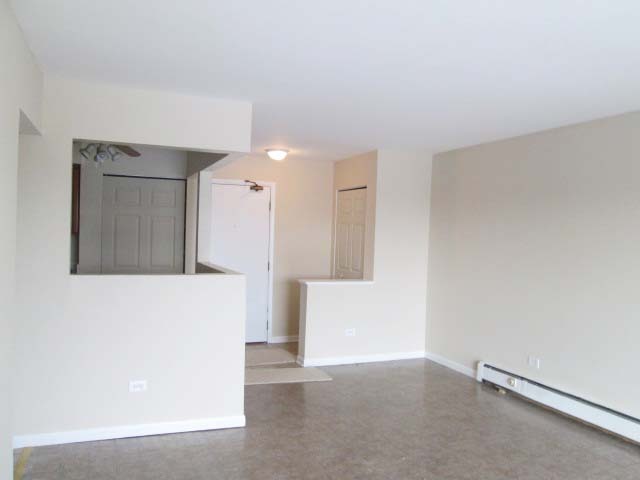 2218 South Goebbert Road, Unit 491 Arlington Heights, IL 60005 - Photo 4 of 16
