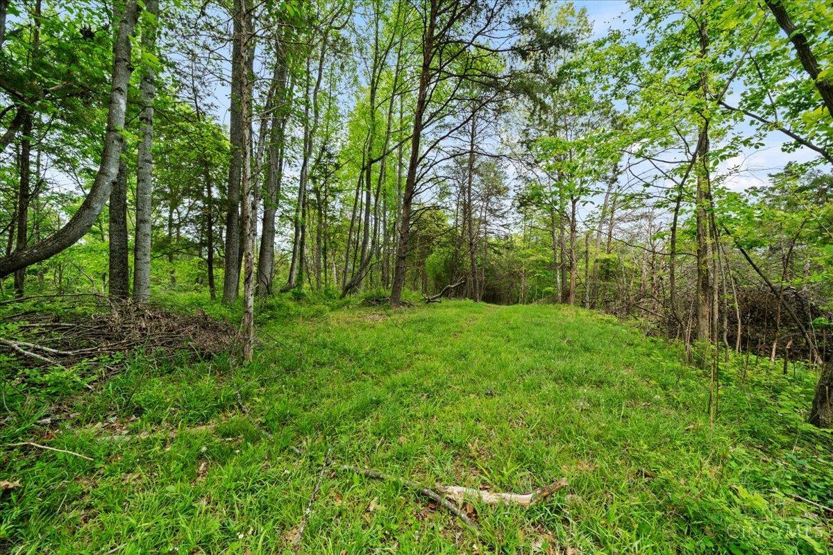 1393 Dutch Thomas Road Peebles, OH 45660 - Photo 45 of 52 Gallery Image 45