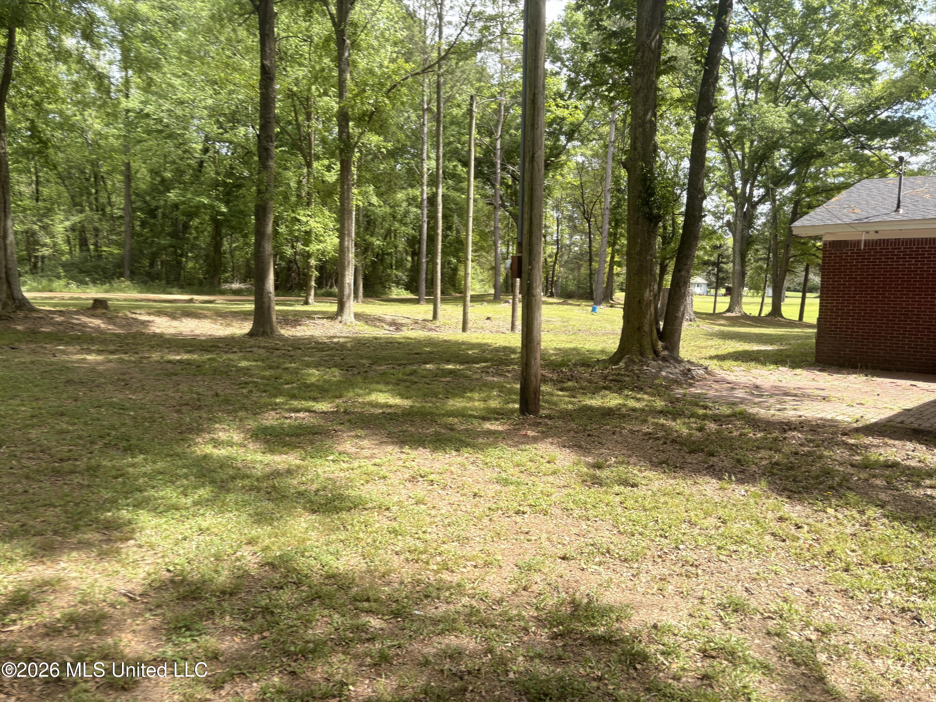 9855 Highway 501 Forest, MS 39074 - Photo 18 of 20 IMG_4268