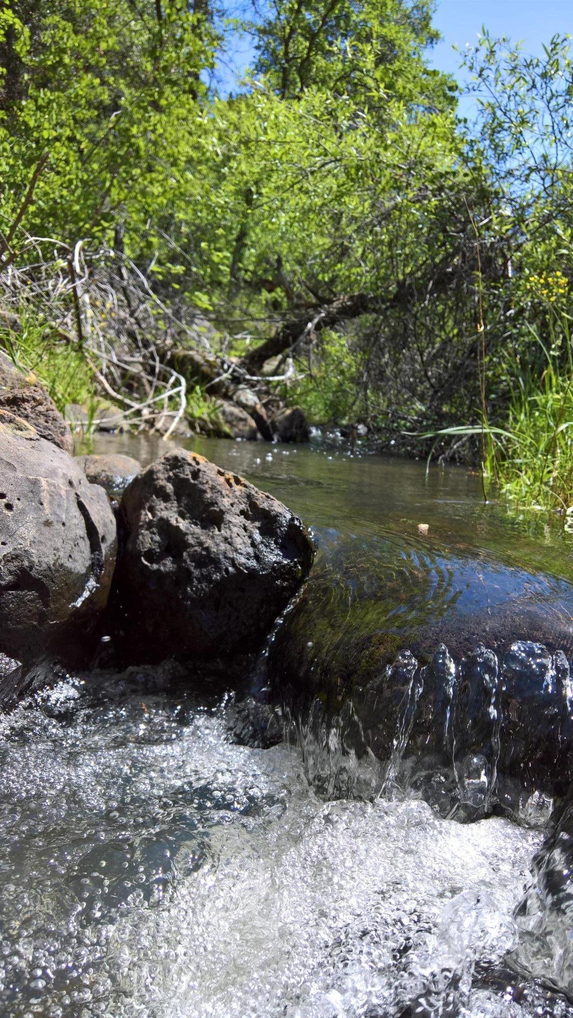 40-acres Scharsch Road Shingletown, CA 96088 - Photo 3 of 13 WP_20190428_12_05_17_Pro_LI