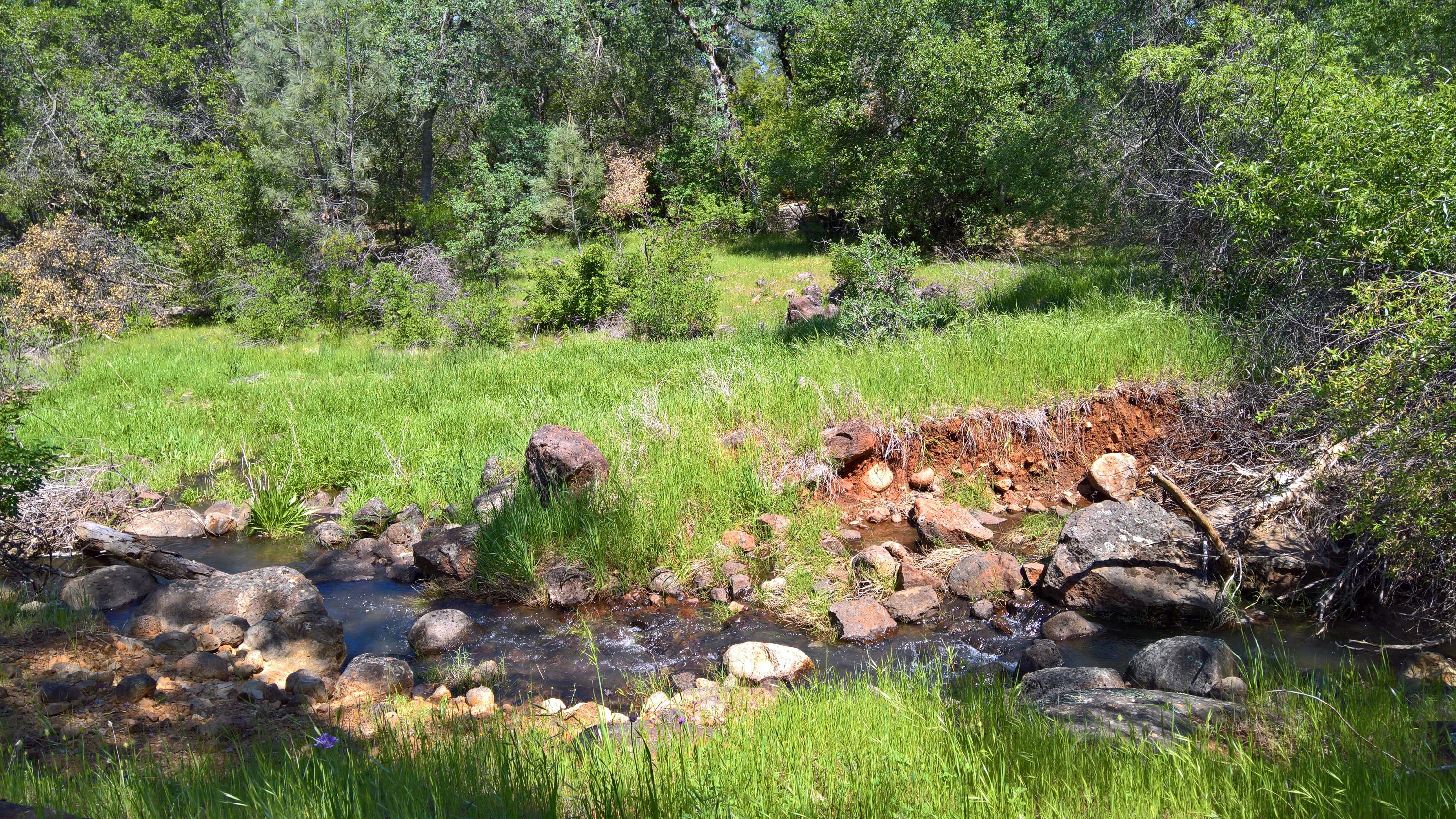 40-acres Scharsch Road Shingletown, CA 96088 - Photo 4 of 13 WP_20190428_11_37_24_Pro_LI