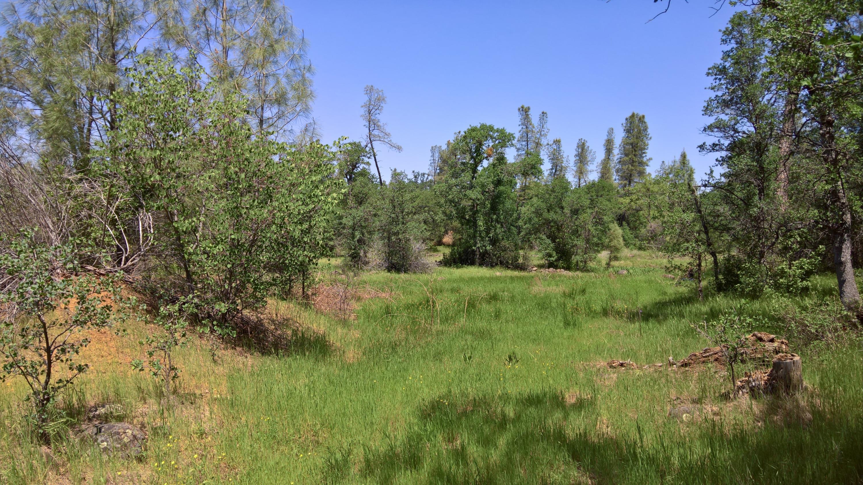 40-acres Scharsch Road Shingletown, CA 96088 - Photo 10 of 13 WP_20190428_12_06_43_Rich_LI Adjustments