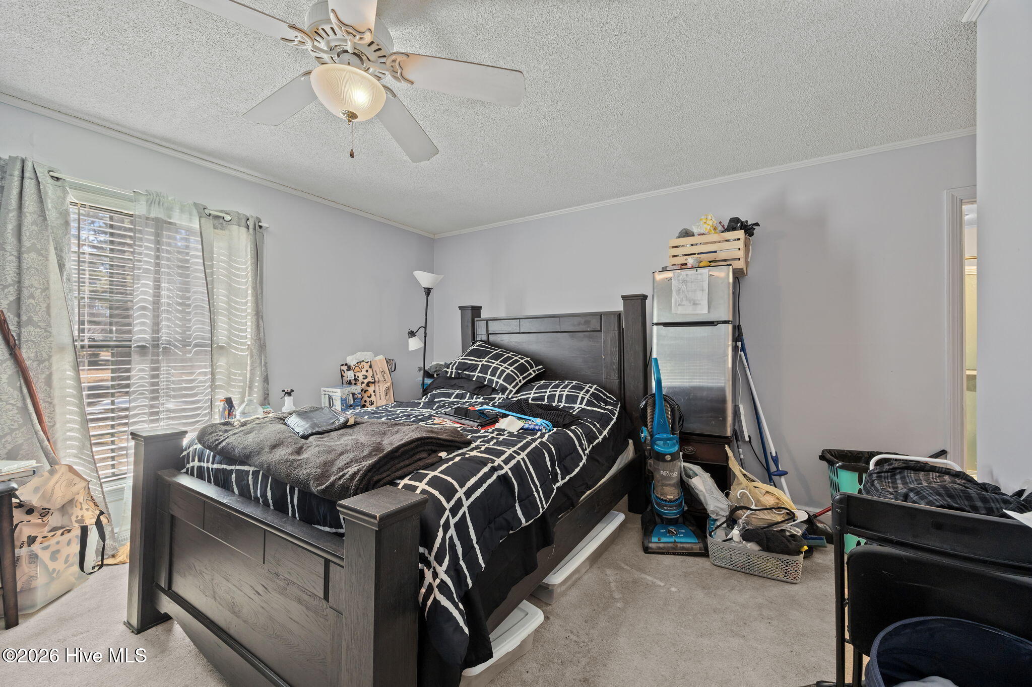 2202 Riley Road Kinston, NC 28504 - Photo 42 of 55 45-web-or-mls-IMG_9963