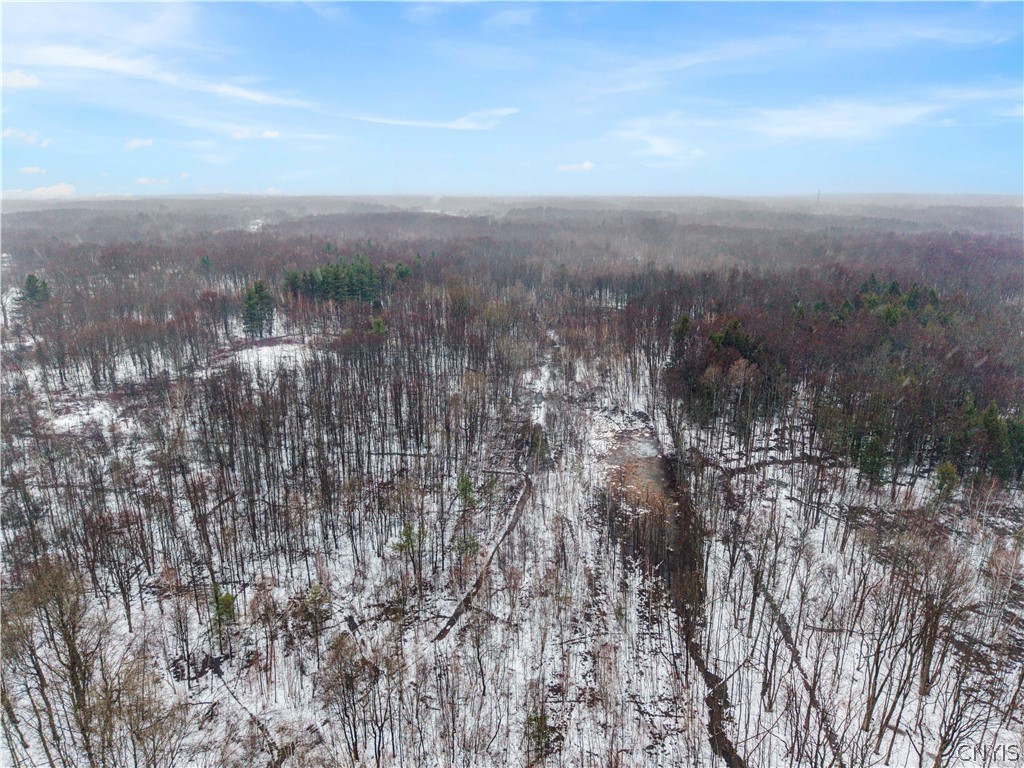 460 County Rte 29, Unit 454 Scriba, NY 13126 - Photo 19 of 23