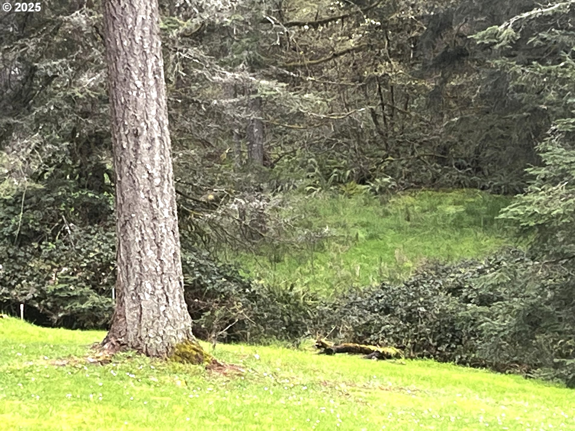 Crest Drive, Unit 9 Eugene, OR 97405 - Photo 11 of 16