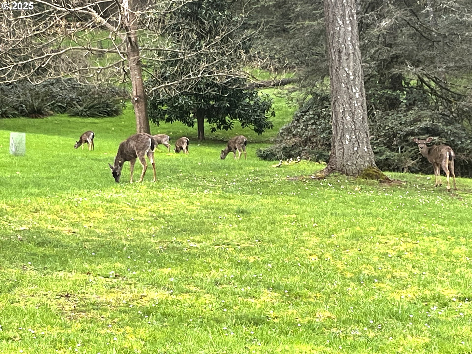 Crest Drive, Unit 9 Eugene, OR 97405 - Photo 5 of 16
