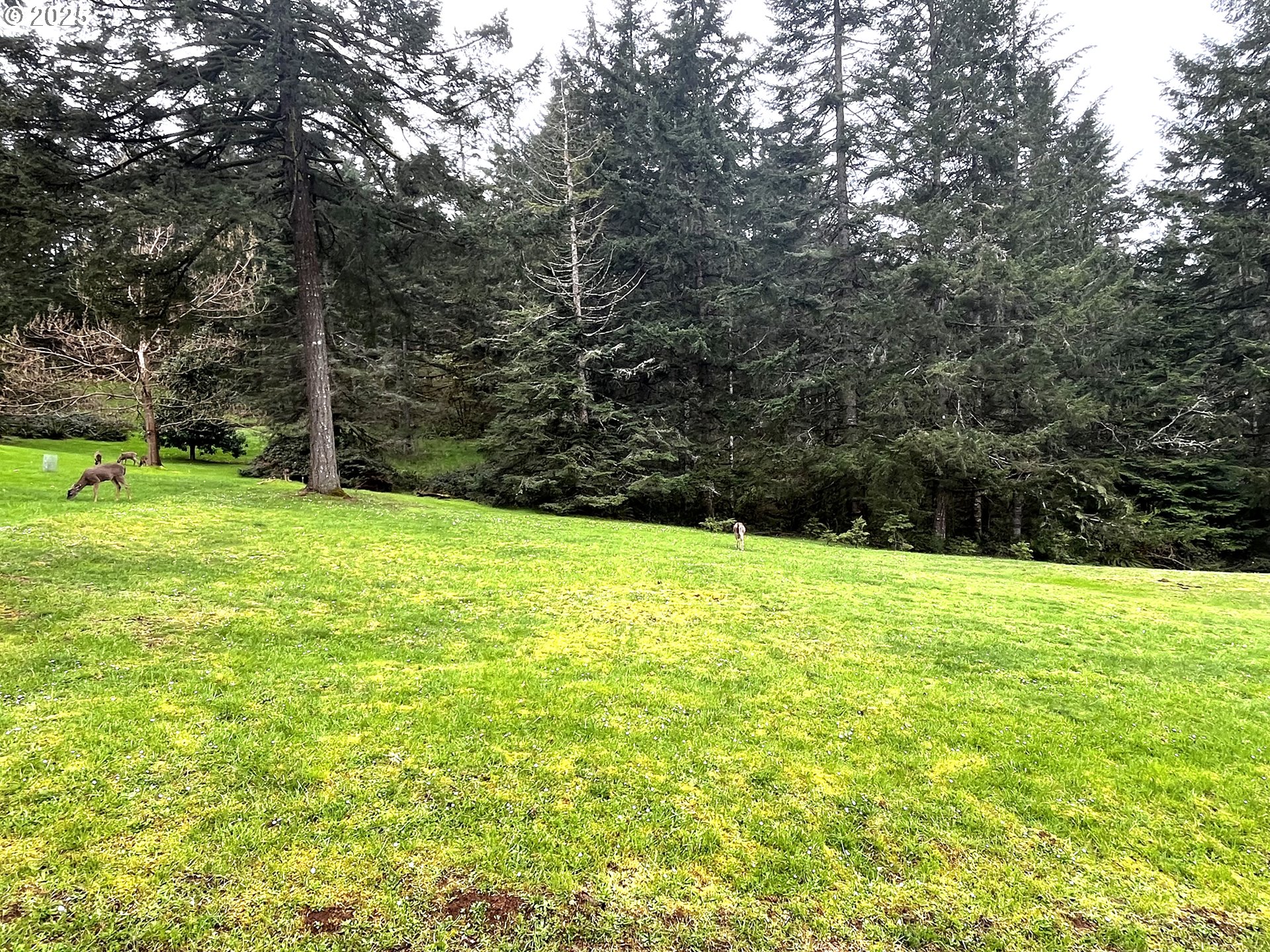 Crest Drive, Unit 9 Eugene, OR 97405 - Photo 6 of 16