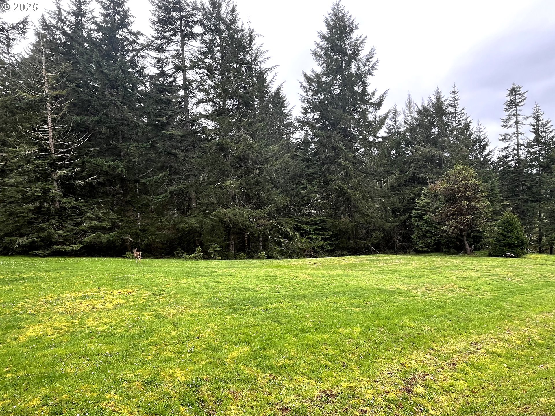 Crest Drive, Unit 9 Eugene, OR 97405 - Photo 7 of 16