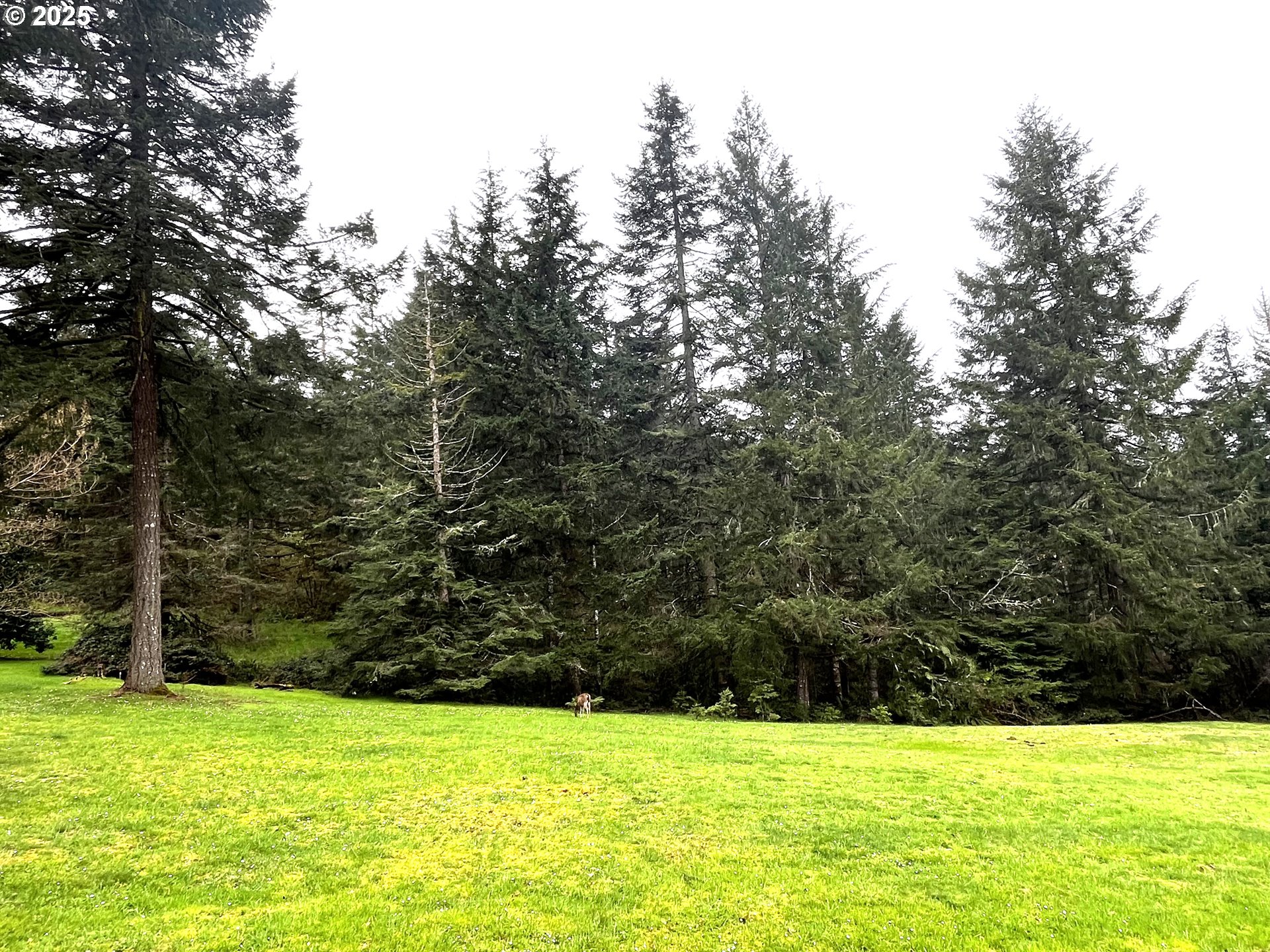 Crest Drive, Unit 9 Eugene, OR 97405 - Photo 8 of 16