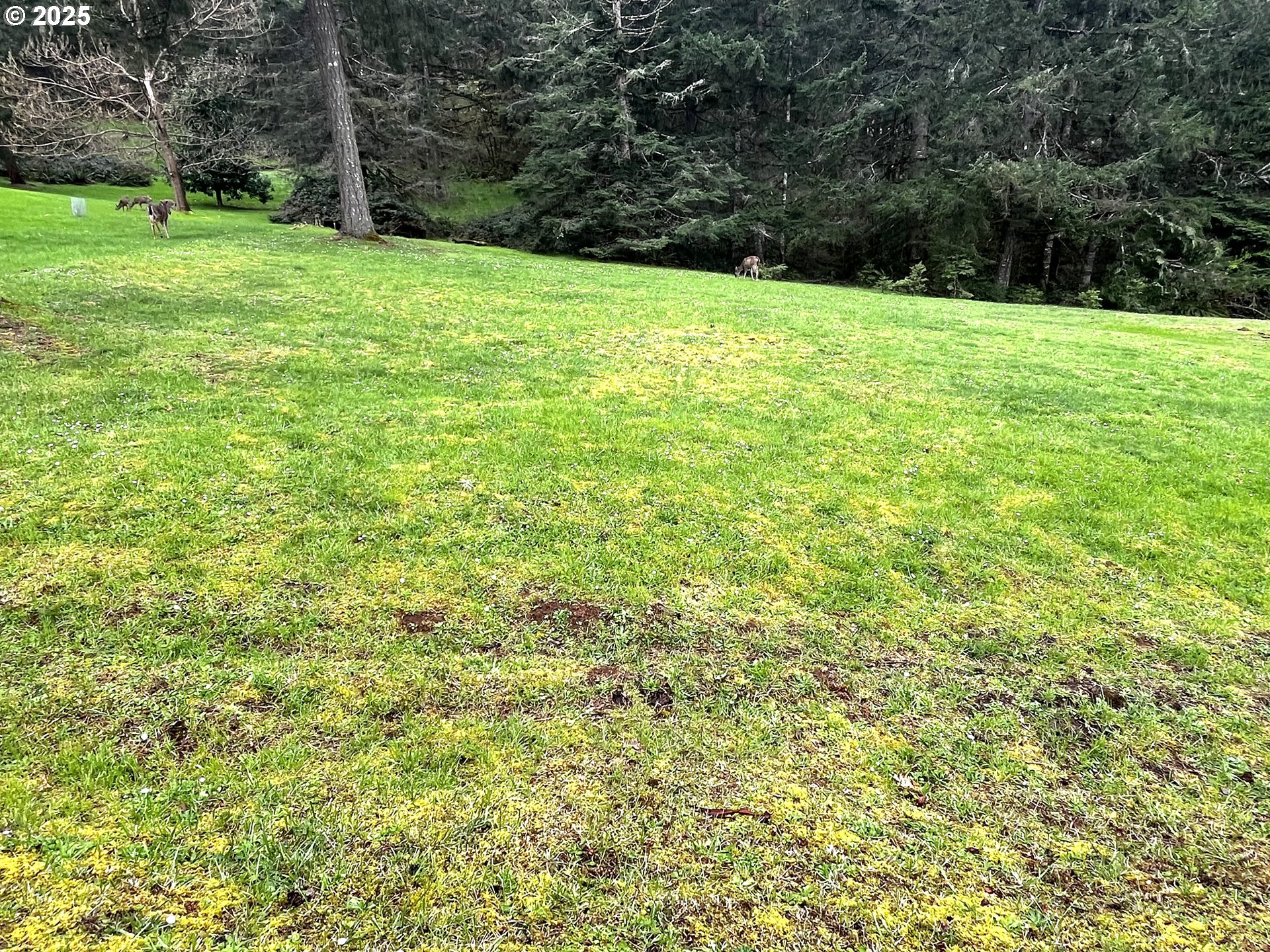 Crest Drive, Unit 9 Eugene, OR 97405 - Photo 9 of 16