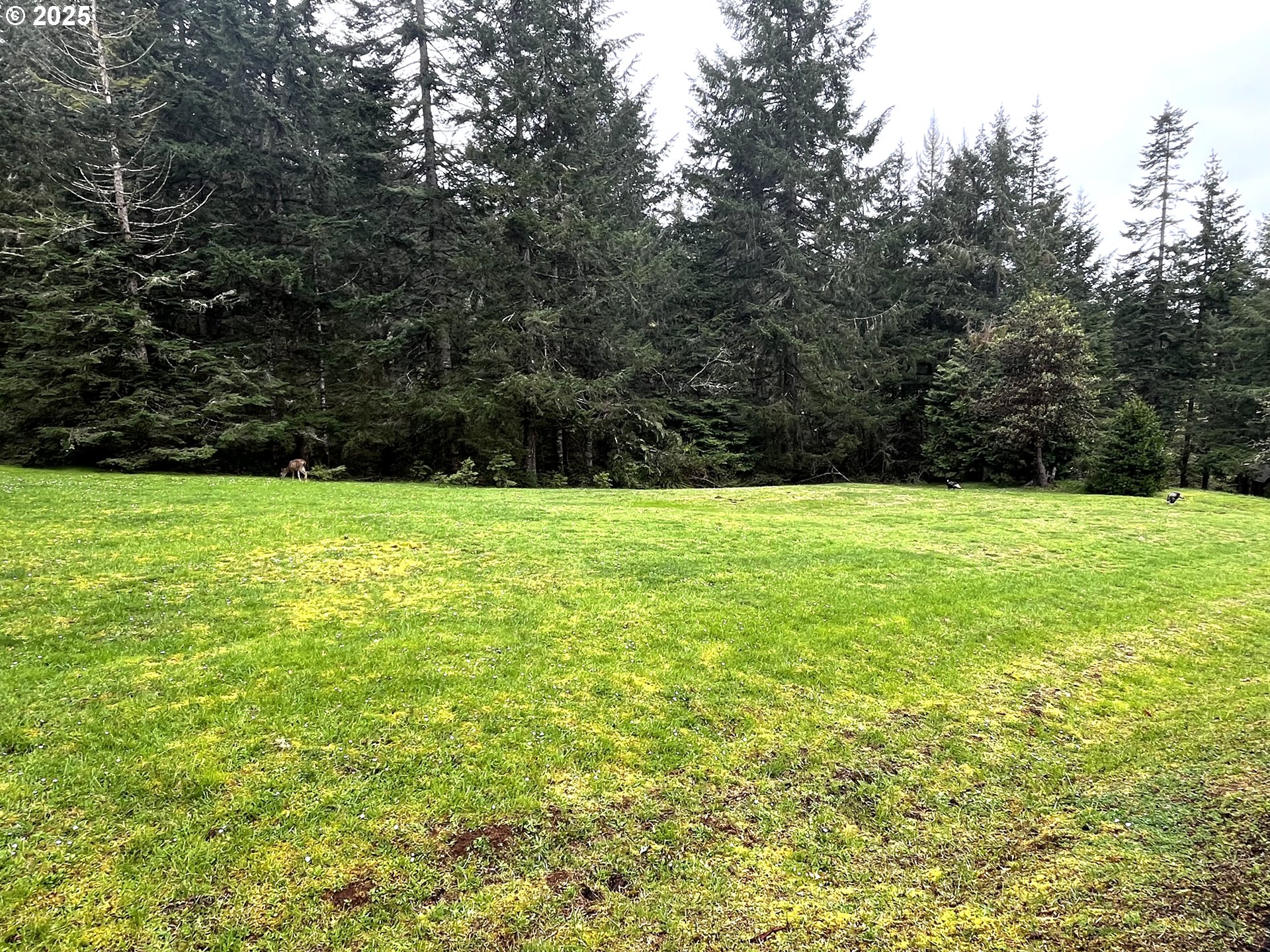 Crest Drive, Unit 9 Eugene, OR 97405 - Photo 10 of 16