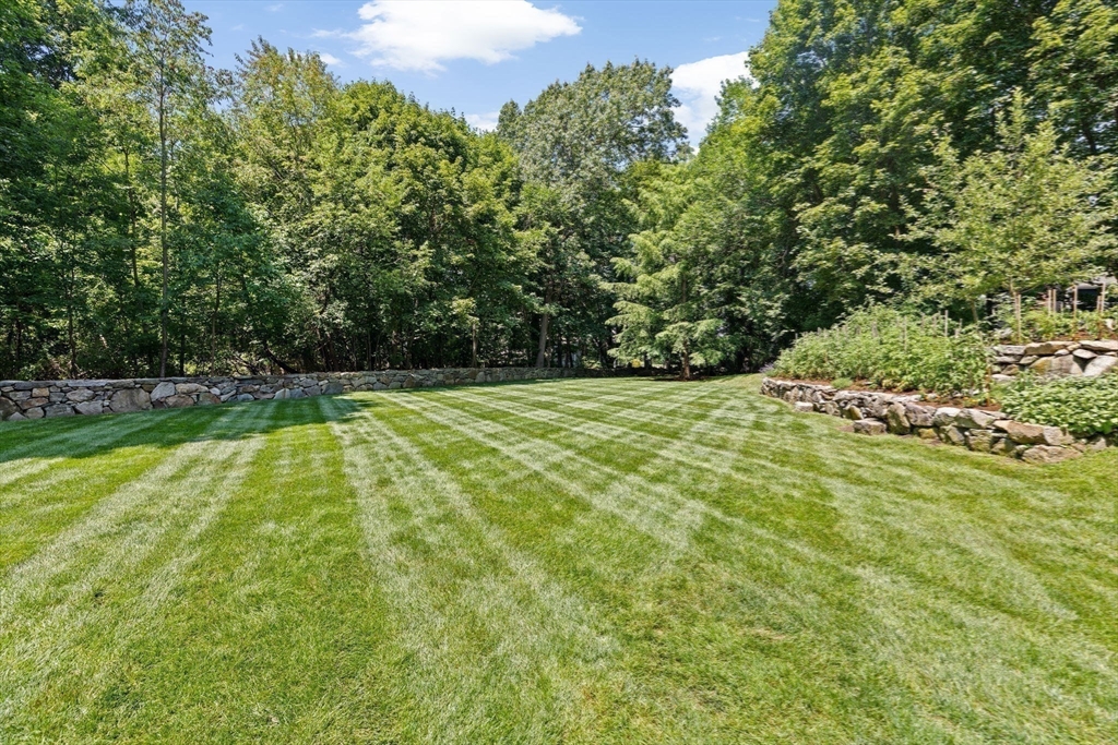 71 High Street Canton, MA 02021 - Photo 35 of 42 a view of a yard with an outdoor space