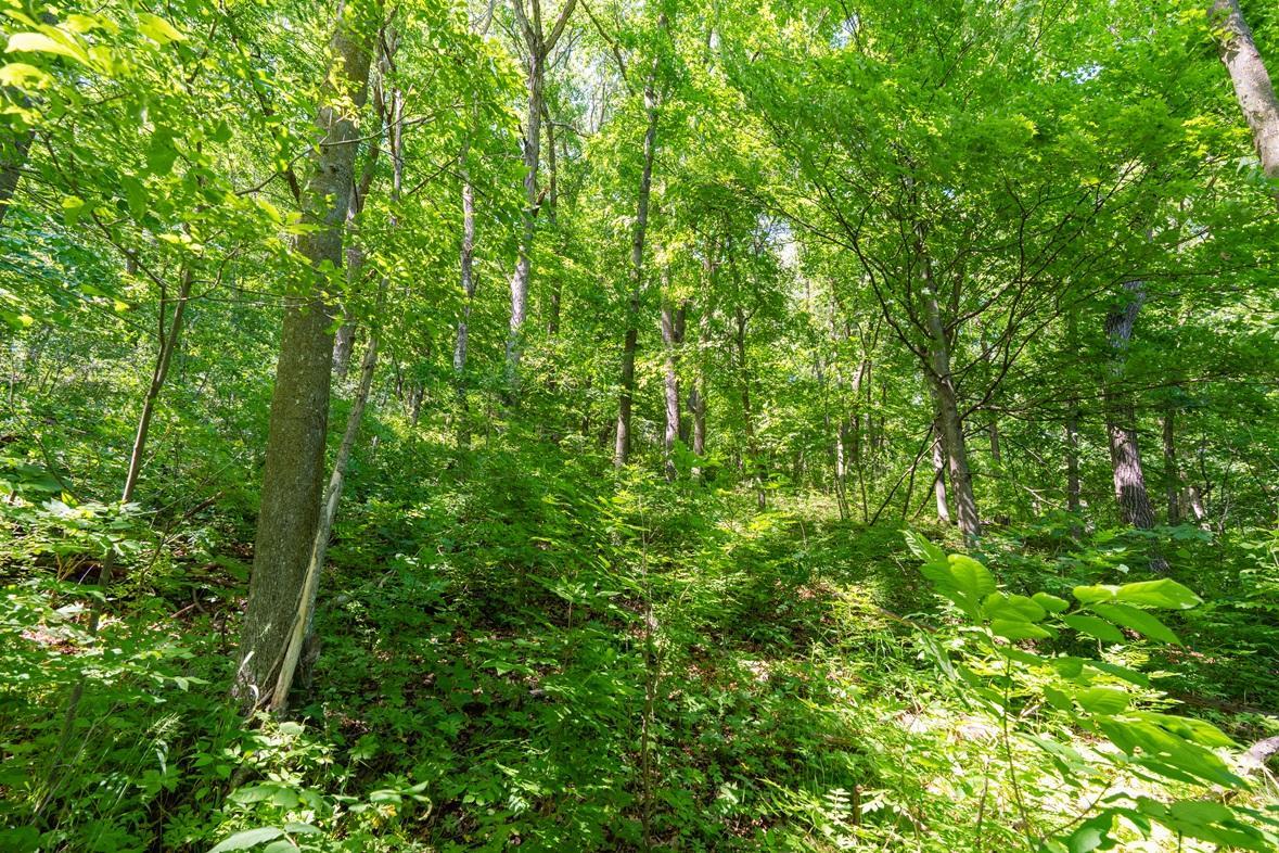 W9204 Big Coulee Road Arkansaw, WI 54721 - Photo 18 of 21