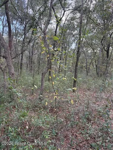 a big yard with lots of green space