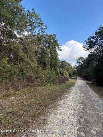a view of a dry yard with trees