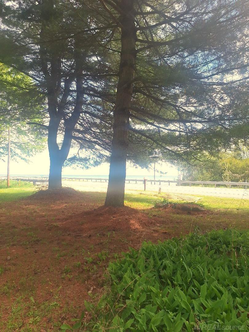 2 Lakeshore Road Port Sanilac, MI 48469 - Photo 8 of 26