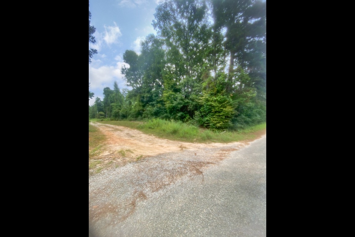 0 2741st Cleveland, TX 77327 - Photo 2 of 12 a view of a yard with plants