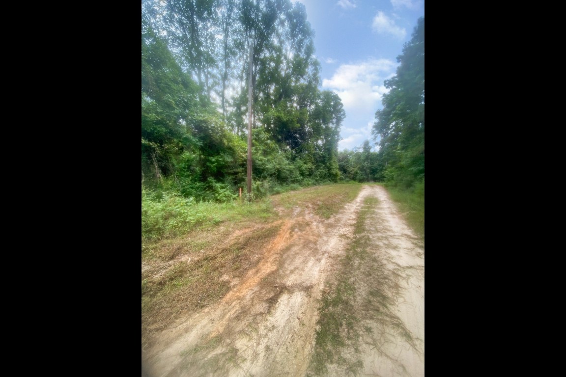 0 2741st Cleveland, TX 77327 - Photo 10 of 12 a view of backyard with green space