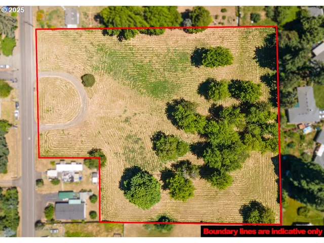 a view of a tree in a yard