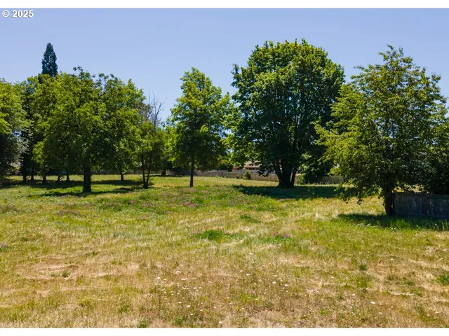 a swimming pool with trees in the background