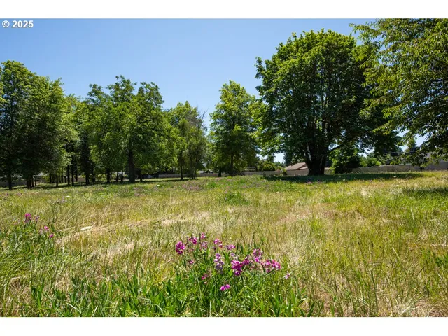 a view of a tennis court