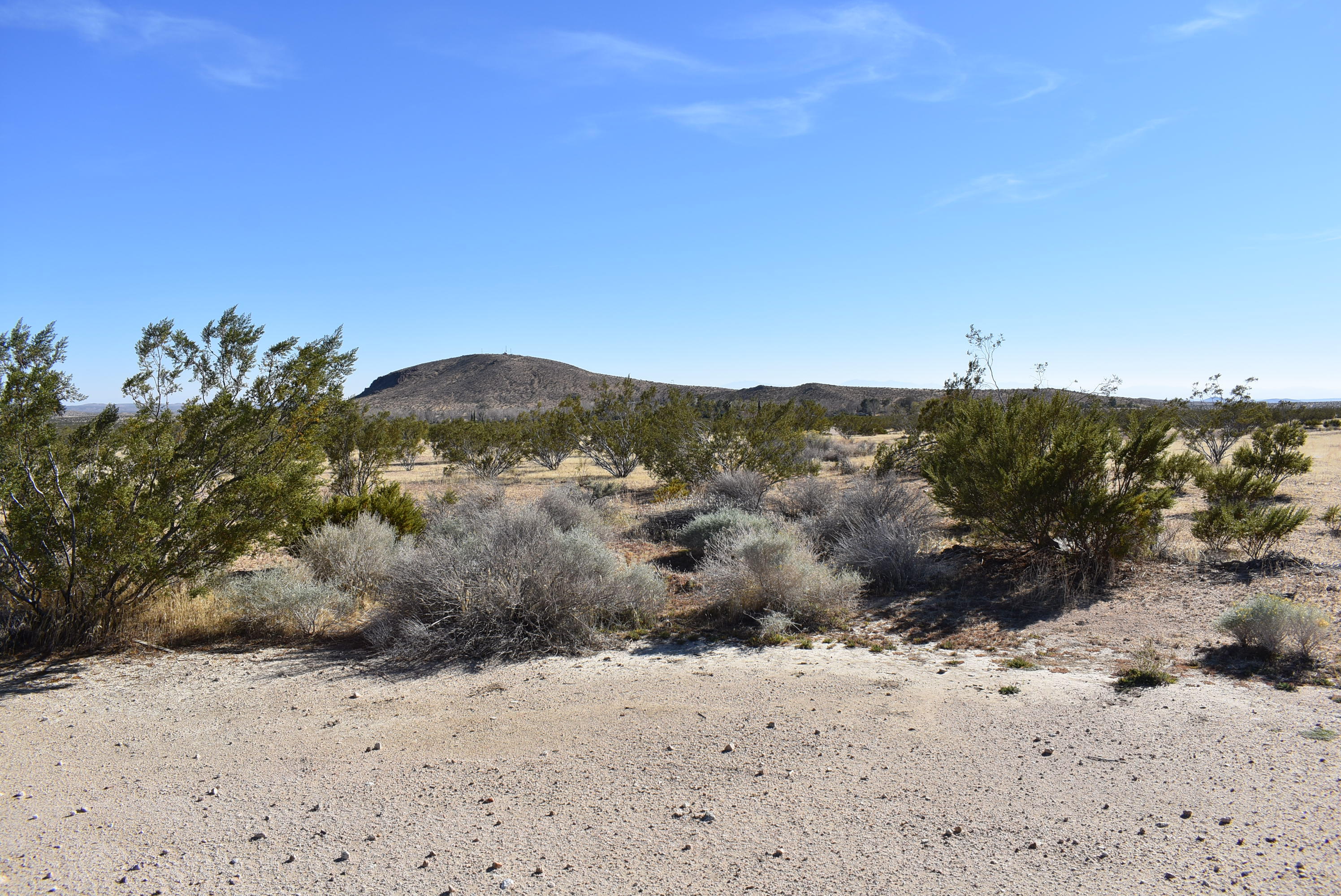Timlin Way California City, CA 93505 - Photo 1 of 10 a view of a dry yard with green space