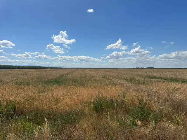 a view of a lake in middle of the house
