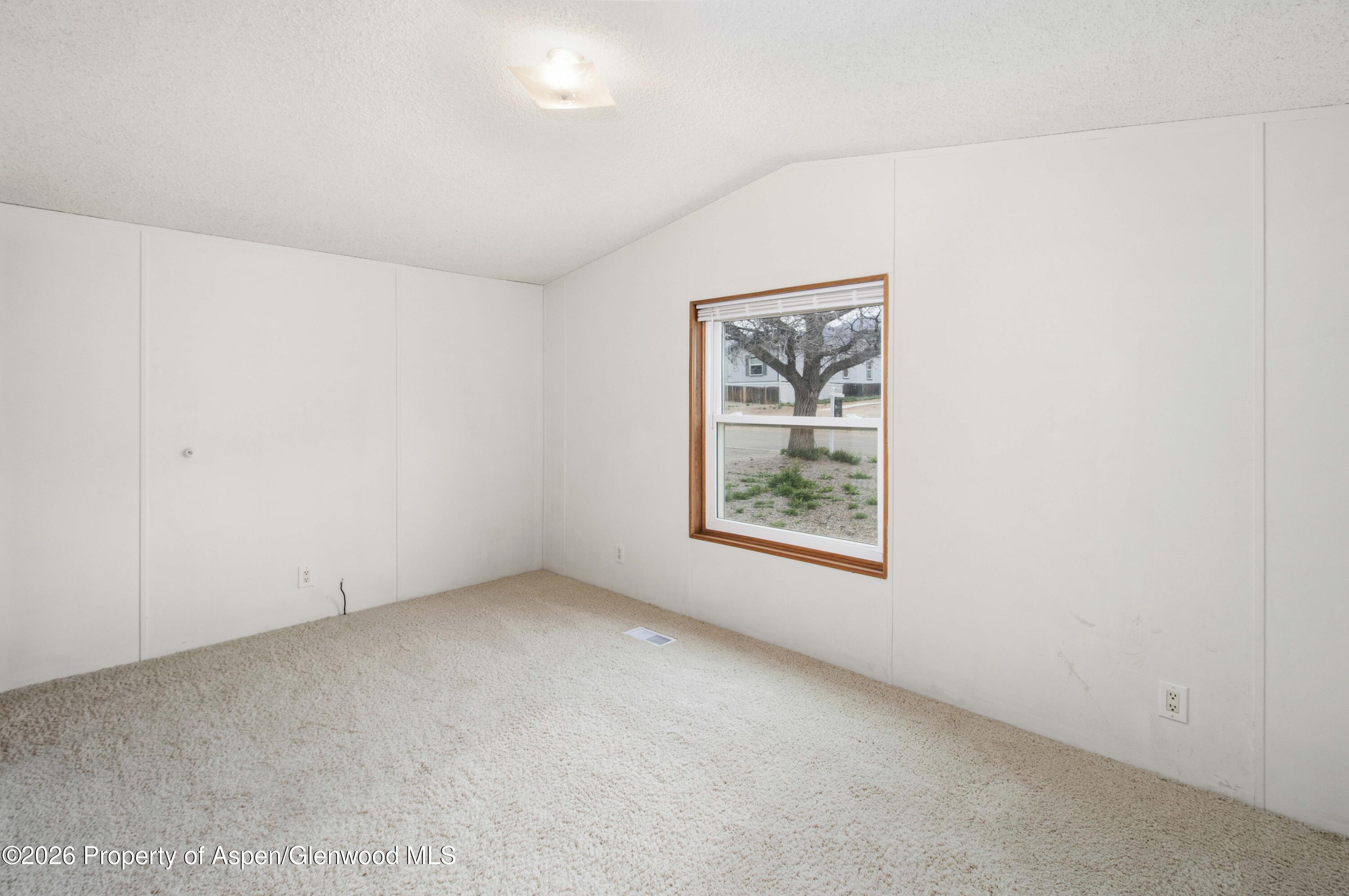 105 Silver Queen Circle Parachute, CO 81635 - Photo 12 of 21 21