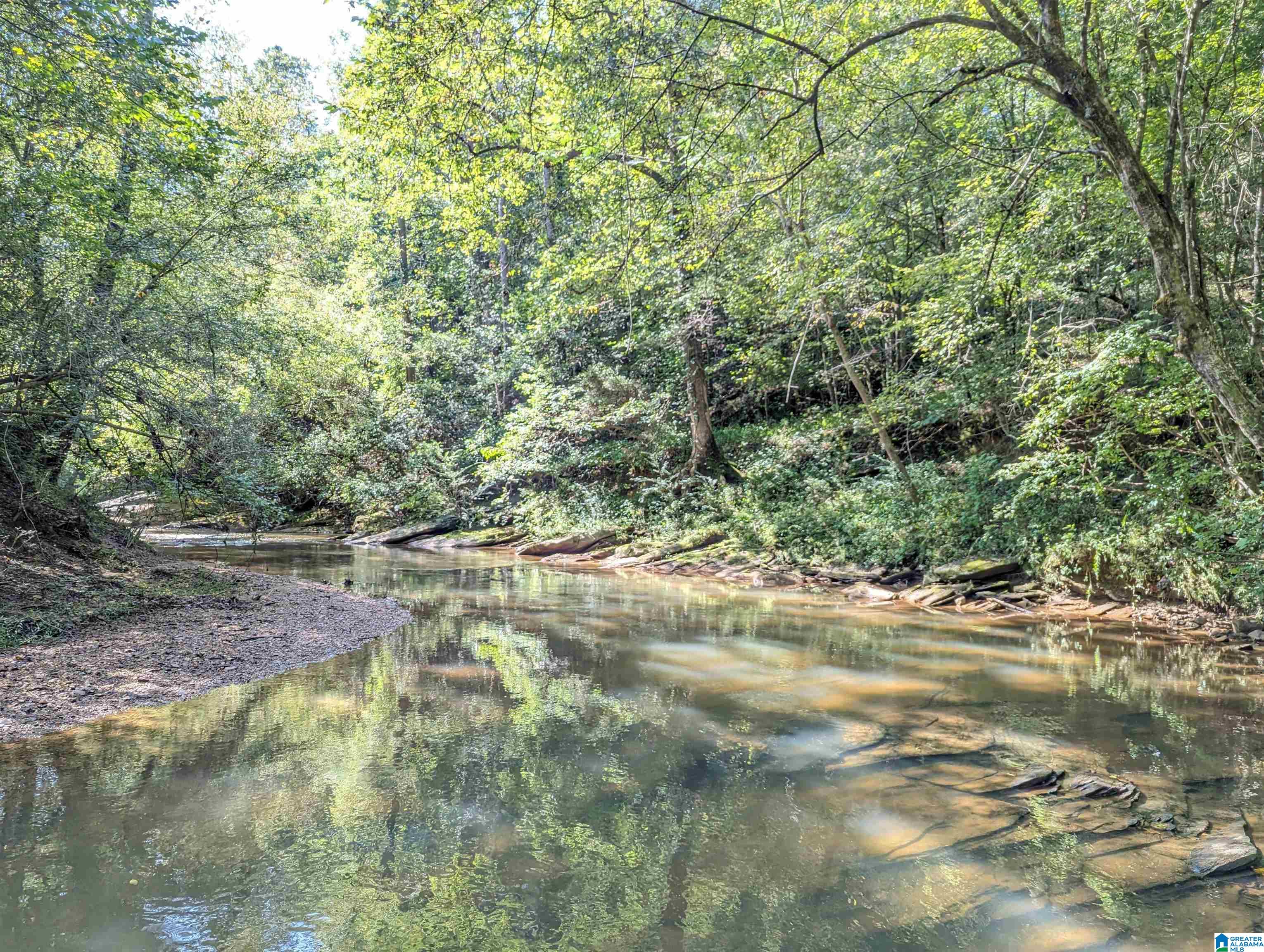 534 County Road, Unit 35 Woodland, AL 36280 - Photo 3 of 22
