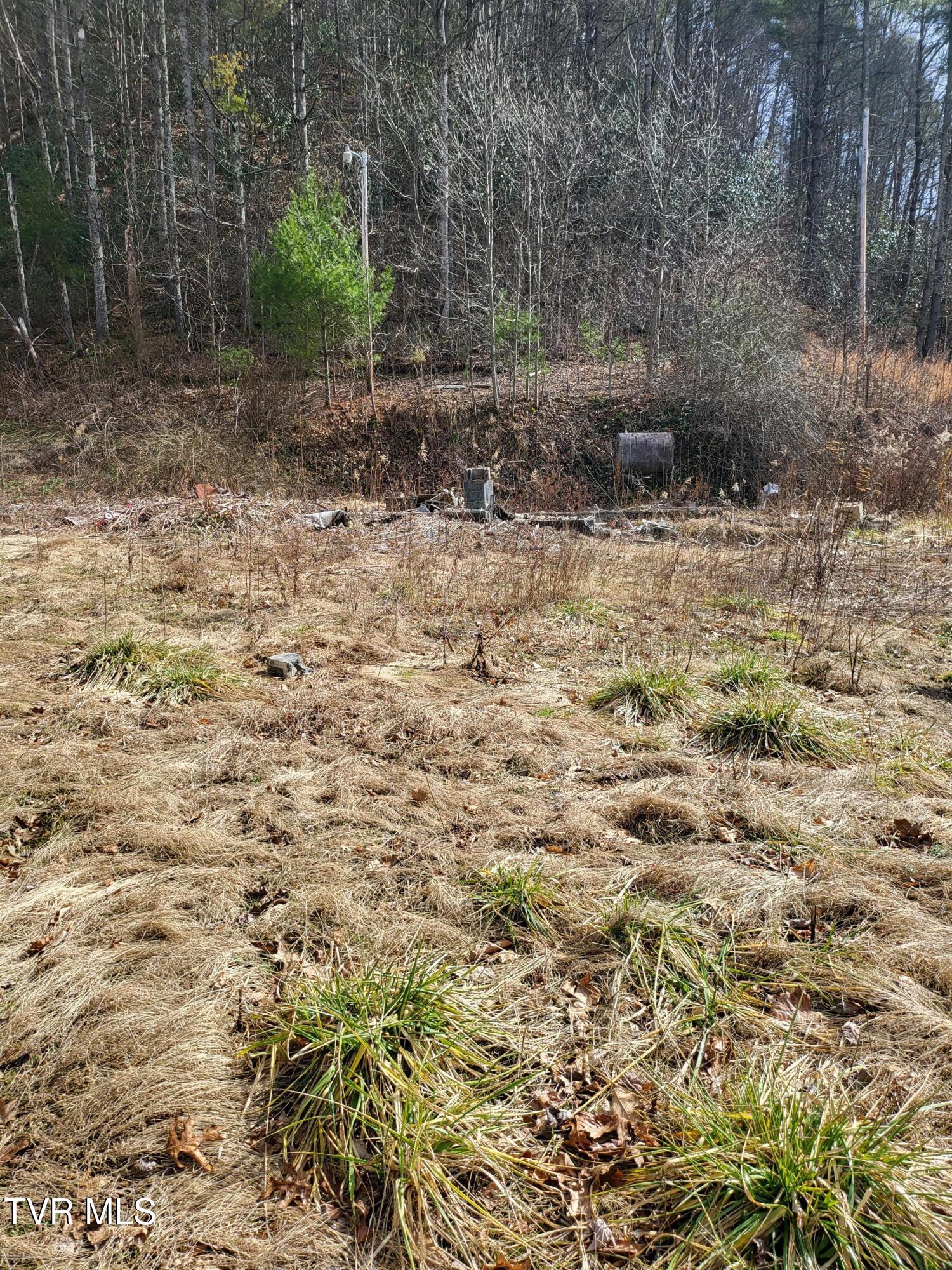 1271 Upper Higgins Creek Road Flag Pond, TN 37657 - Photo 2 of 11 20260217_133740 (1)