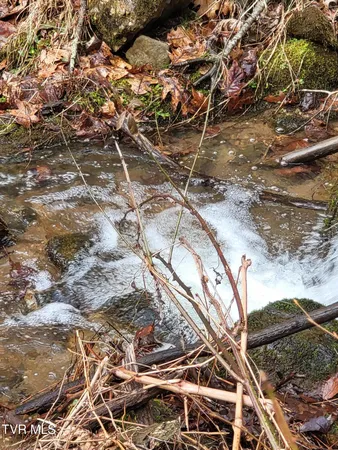 $115,999 | 1271 Upper Higgins Creek Road, Flag Pond, TN 37657